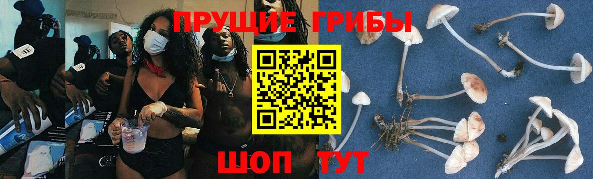 Якутск  Галлюциногенные грибы ЛСД  Вход с VPN  Псилоцибиновые грибы прущие грибы 